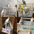 thumbnail image 6 of kathson Bird Playground,Parrot Play Stand,Parakeet Play Gym with Feeding Cups,Cockatiel Perchs Playstand with Exercise Toys for Budgie Conures Cockatoos Lovebirds Playpen, 6 of 8