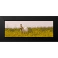 thumbnail image 2 of Linden, Sally 24x11 Black Modern Framed Museum Art Print Titled - Flowery Horse Field, 2 of 5