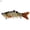 Color 68036, variant on Windfall Lifelike Fishing Lure for Bass, Trout, Walleye, Predator Fish - Realistic Multi Jointed Fish Popper Swimbaits - Freshwater and Saltwater Crankbait - 10cm/3.94"