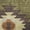 Green, variant on Addison Rugs Dream Shag Premium Machine Washable Transitional Aztec Blue Rectangle Rug, 3' x 5'