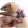 thumbnail image 2 of Ludlz Guinea Pig Harness and Leash - Soft Mesh Small Pet Harness with Safe Bell, No Pull Comfort Padded Vest for Guinea Pigs, Ferret, Chinchilla and Similar Small Animals, 2 of 5