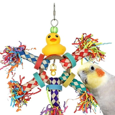Super Bird Creations SB1208 Just Ducky Bird Toy - Rubber Ducky with Bamboo Finger Traps - Colorful Parrot Toy for Preening and Chewing - Designed for Ringnecks, Cockatiels - Ideal for Medium Bird Size