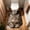Black, variant on Cat U Shaped Toilet Bath Mat, A Cat is Lying Toilet Rugs Contour Bath Rug, Washable Non-Slip Quick Dry Bathroom Floor Mat for Most Toilets, 19.7x23.6 Inch