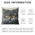 thumbnail image 5 of BANET Sofa Pillow Case, Decorative Throw Pillow Cushion Cover for Home Office- Cute Gray Chinchilla 24x24in, 5 of 5