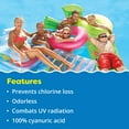 thumbnail image 3 of In The Swim Pool Stabilizer – 100% Cyanuric Acid for Chlorine Protection and Efficiency - 5 Pound F081B05030AE, 3 of 6