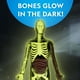thumbnail image 3 of Modelo anatómico de cuerpo humano de National Geographic con brillo, 32 unidades, 3 of 6