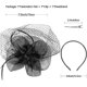 thumbnail image 3 of Tocado de plumas para boda, diadema y clip para el día de la mujer, sombrero para cóctel, fiesta de té, para niñas y mujeres, 3 of 5