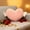 216#Pink, variant on Heart Shaped Pillow, Soft Romantic Throw Cushion for Valentine’s Day Gift, Decorative Plush Pillow for Sofa Bed Office Chair, Love Themed Home Decor for Couples