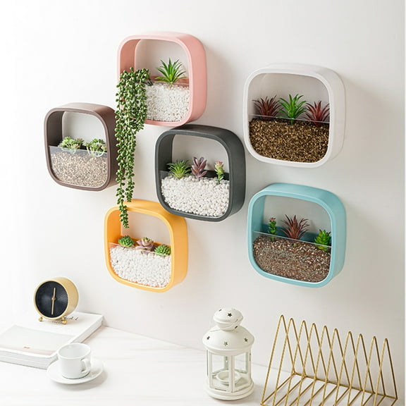 SPRING PARK Wall Hanging Plant Terrarium ABS Planter Wall Hanging Container Succulent Plant Pots