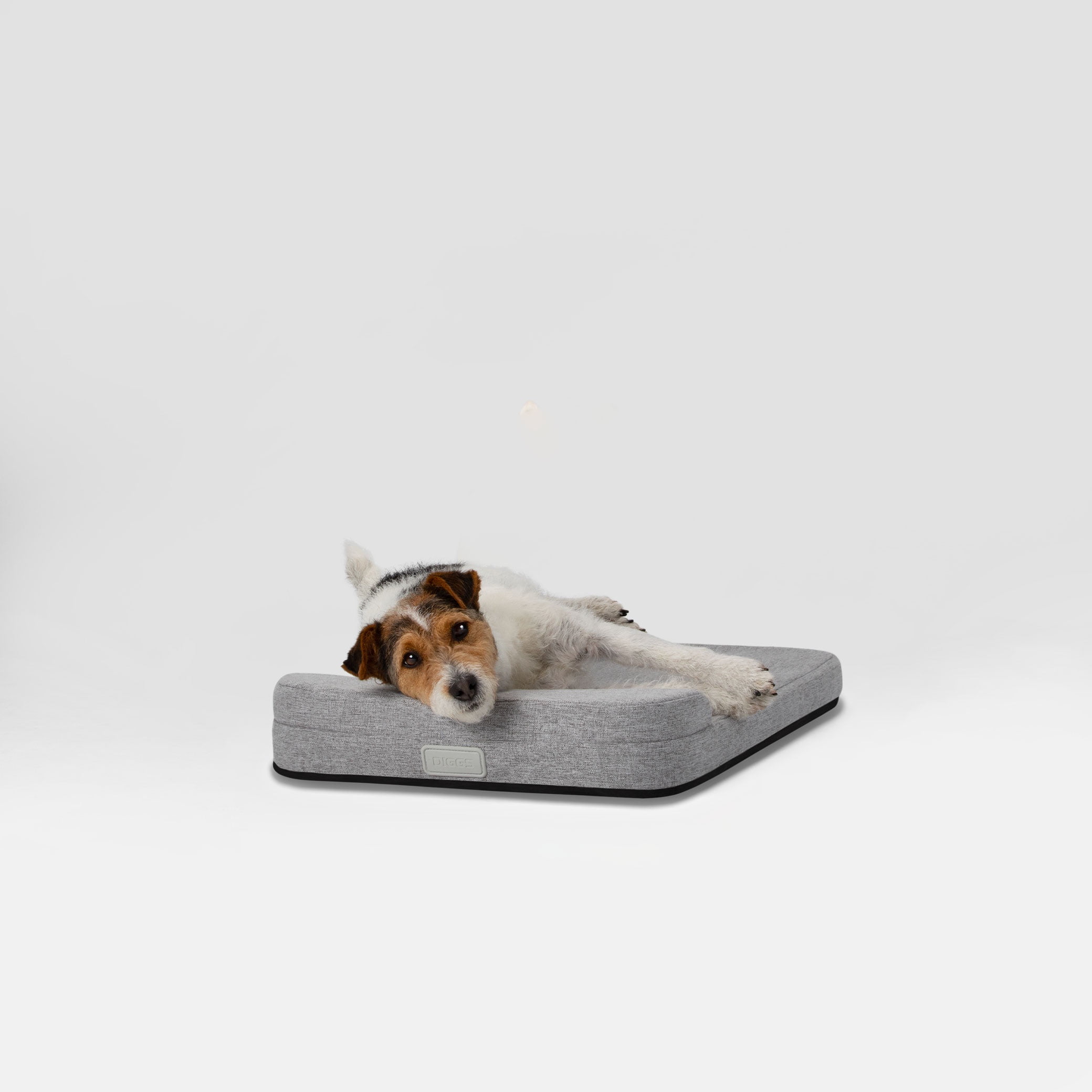 Diggs 24" Bolstr Dog Bed with Headrest - Premium Memory Foam Pet Bed for Crate or Home - Grey