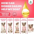 thumbnail image 6 of Doggie Dailies Wild Alaskan Salmon Oil for Dogs Made in the USA, Fish Oil for Dogs Rich in EPA & DHA to Support Skin & Coat Health, Joint Health, Heart Health & The Immune System, 6 of 8