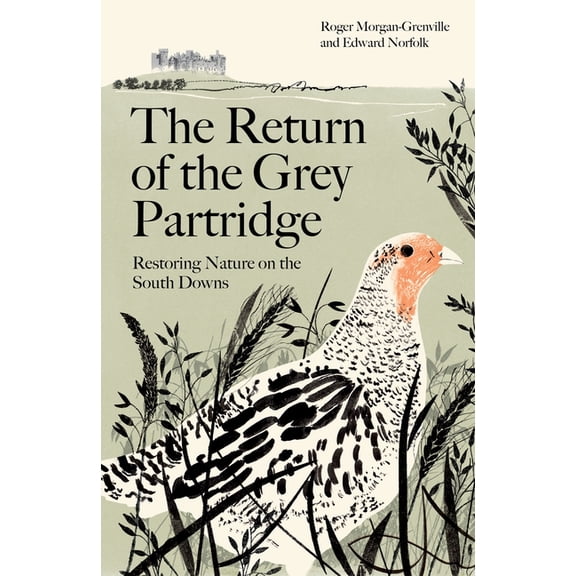 The Return of the Grey Partridge: Restoring Nature on the South Downs, (Paperback)