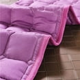 thumbnail image 2 of pitrice Housse de Lit de Massage SPA Matelas Violet 180x60cm, 2 of 9