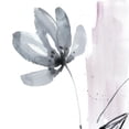 thumbnail image 3 of Goldberger, Jennifer 20x20 Black Modern Framed Museum Art Print Titled - Blush Flower Splash I, 3 of 5