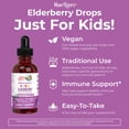 thumbnail image 4 of Sirope de saúco MaryRuth's Cocomelon Kids 30 ml sin azúcar, 4 of 9