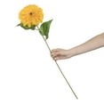 thumbnail image 4 of 27-inch Artificial Silk Yellow Single Teddy Bear Sunflower Long Stem, for Indoor Use, by Mainstays, 4 of 8