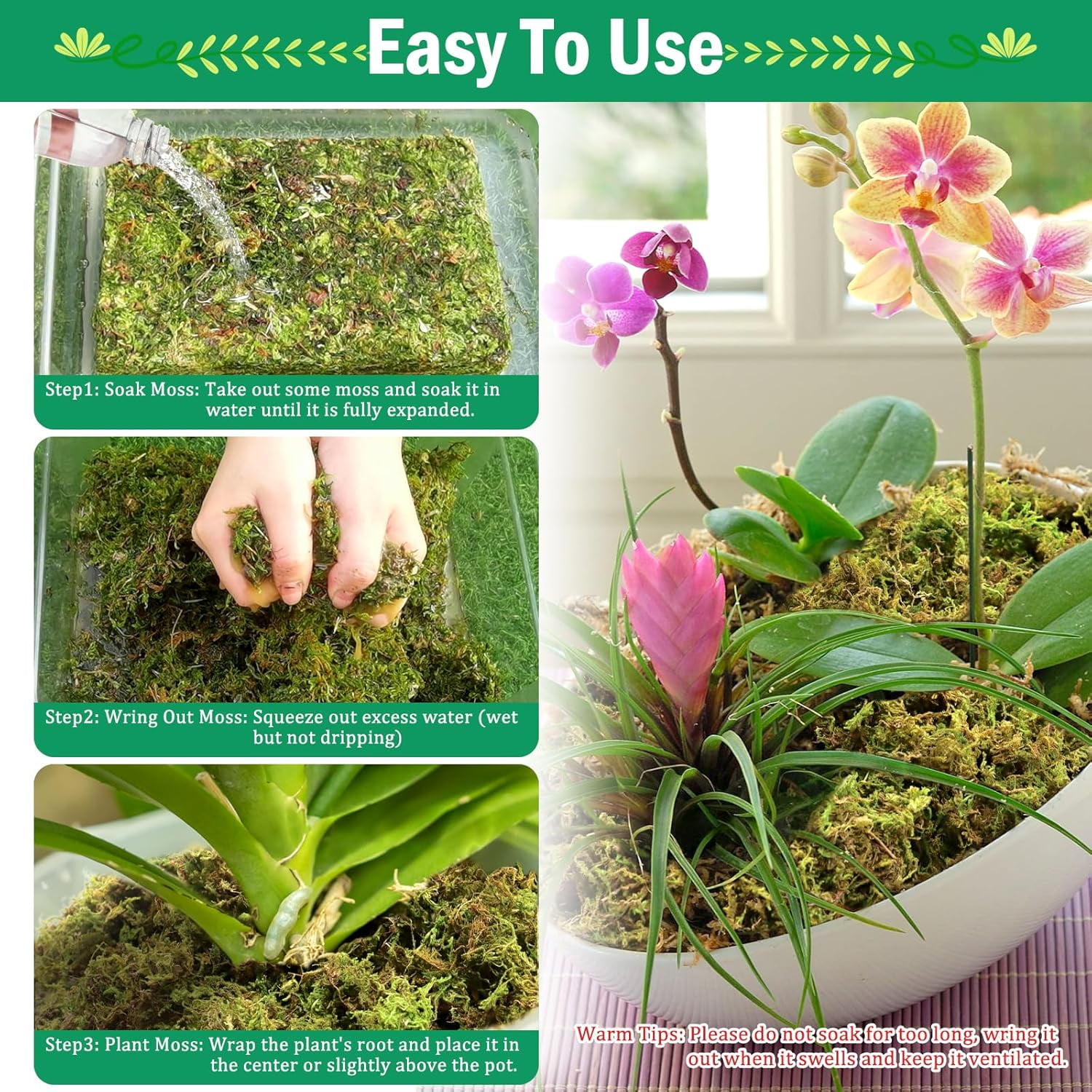 2.8LBS Premium Sphagnum Moss for Plants- 55QT Natural Dried Plant Moss for Potted Plants, Orchid Moss for Repotting, Soft Green Decorative Moss for Succulents, Reptiles & DIY Crafts