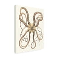 thumbnail image 2 of Unknown 'Antique Octopus Collection IV' Canvas Art, 2 of 4