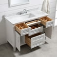thumbnail image 2 of Ove Decors Tahoe 48 in W x 21 in D Pure White Bathroom Vanity with Carrara Marble Countertop and Framed Wall Mirror, 2 of 15