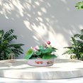 thumbnail image 3 of Hbdhejl Bol Pot de Fleurs Bol Résine Pot de Fleurs Hydroponique Chinois Sans Bonsaï Décoratif Rond Adapté Intérieur, 3 of 5