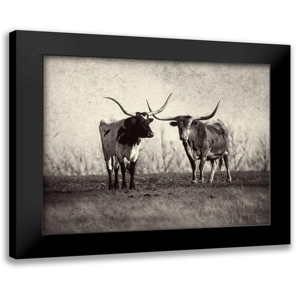 Van Swearingen, Debra 14x12 Black Modern Framed Museum Art Print Titled - Texas Longhorns