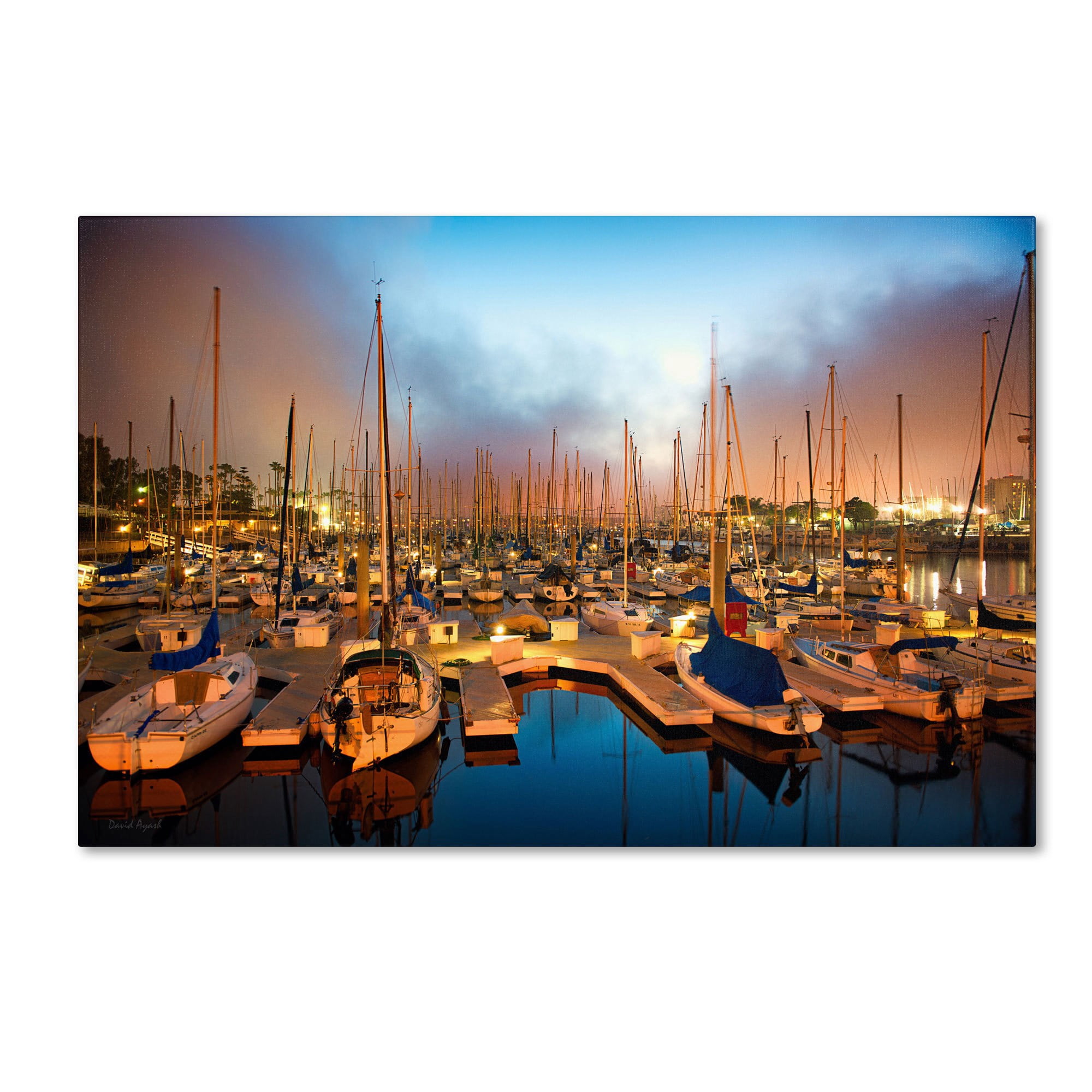Trademark Fine Art "Marina Del Rey - Southern California" Canvas Art by David Ayash