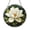 Stained Glass 5.9 Inch, variant on Floral Magnolia Stained Glass Style Panel – Decorative Window Accent