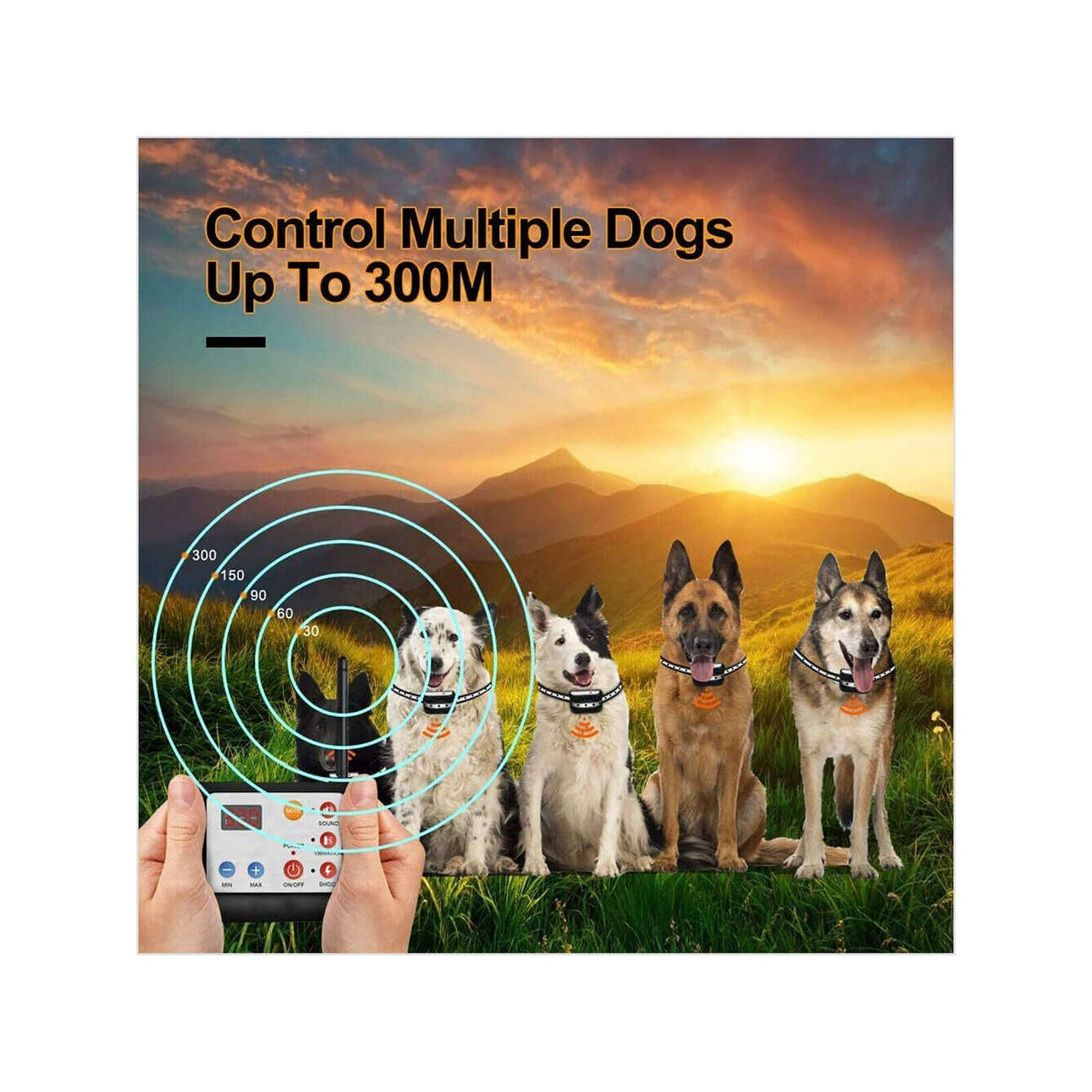 Dog shock collar fence walmart hotsell