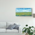 thumbnail image 3 of Trademark Fine Art 'Vast Land I' Canvas Art by Tim OToole, 3 of 4