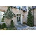 thumbnail image 3 of Z-Lite 531B-ORB 1 Light Outdoor Wall Light Clear Seedy, 3 of 8