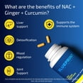 thumbnail image 2 of Blueprint Bryan Johnson NAC Supplement - Promotes Stress Relief, Immune System Function, Respiratory Health - Includes N-Acetyl-L-Cysteine, Ginger, Curcuminoids - Detoxifying - Vegan (30 Servings), 2 of 5