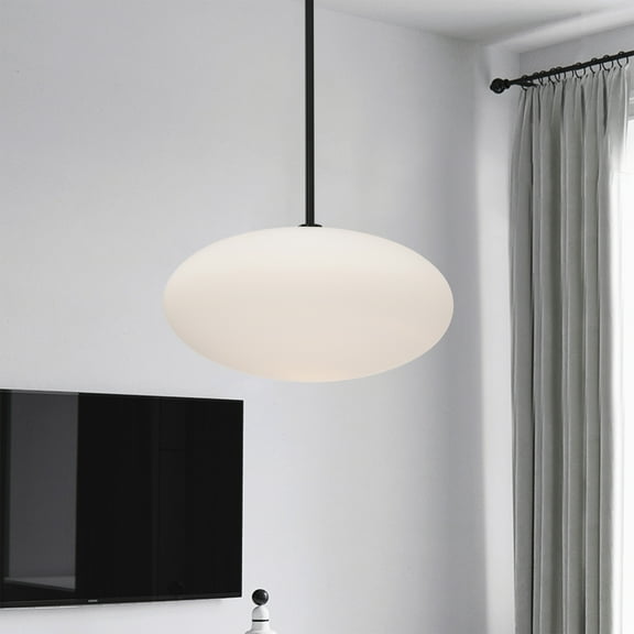 Livia 13.8 in. 1-Light Indoor Matte Black Finish Pendant Light