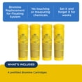thumbnail image 3 of FROG Serene Replacement Bromine Cartridges for Use with Hot Tub FROG Serene Floating Sanitizing System - Prefilled for Quick & Easy Hot Tub Maintenance - 4 Pack, 3 of 7