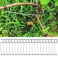 thumbnail image 3 of MYG 20× Fruit Tree Branch Limb Spreader Reuseable Wire for Garden Branch Spreader, 3 of 4