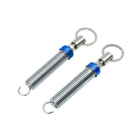 Aeg Upgrade Spring Universal Trunk Spring Automatic Upgrade Lifting Device for Auto Tail Remote Control Blue ()