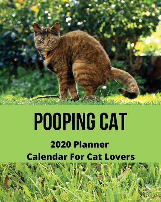 Pooping Cat 2020 Planner Calendar Cat 2020 Weekly Planner Gift for
