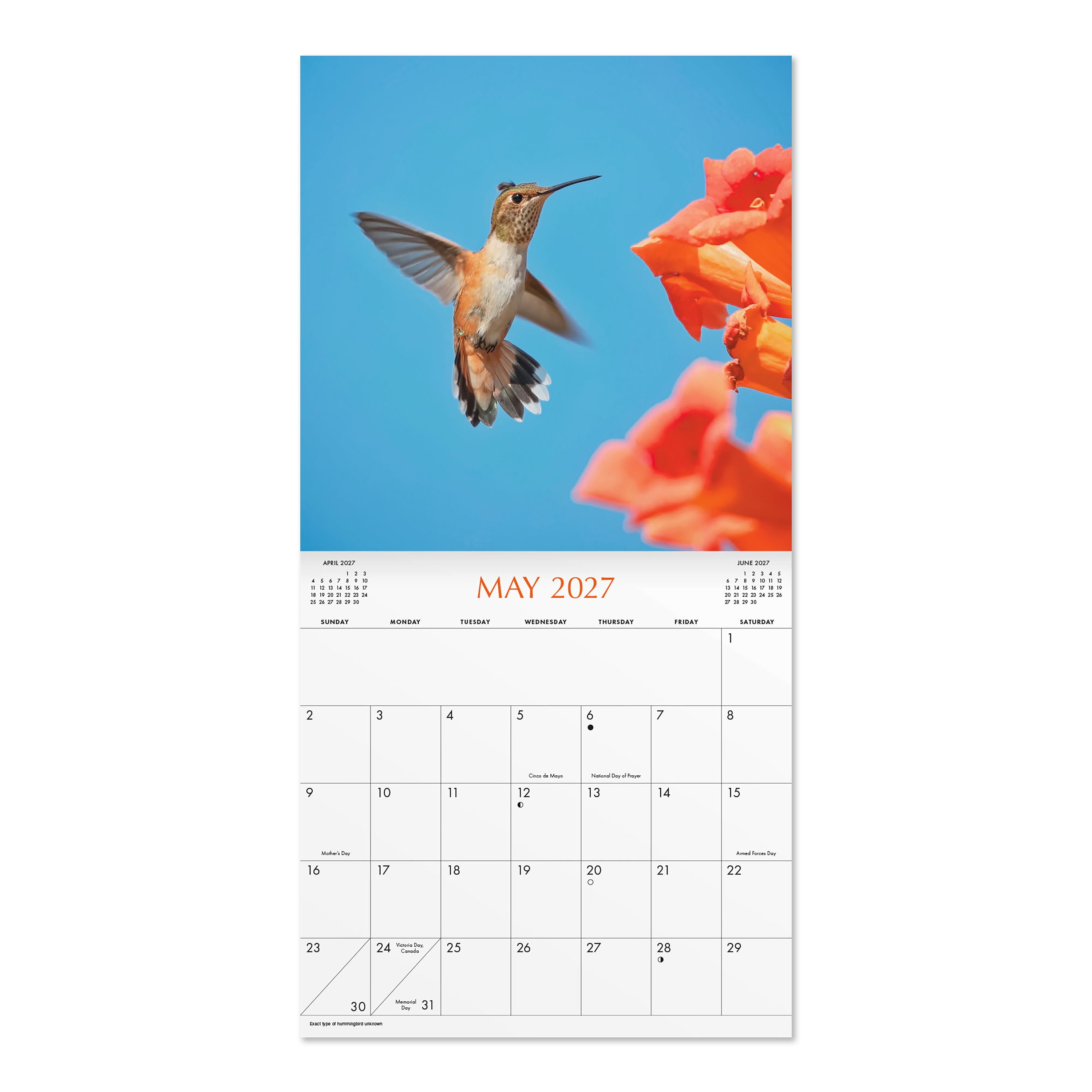 2027 Hummingbirds Hanging Wall Calendar 12x12 January-December Gridded