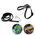 thumbnail image 3 of Bearded Dragon Harness, Reptiles Harness Comfortable Unique Chain Design Easy To Use  For Carrying Walking Black, 3 of 8