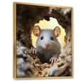 thumbnail image 2 of Designart "Portrait of a Cute White Rodent" Animals Floater Framed Canvas Art Print, 2 of 7
