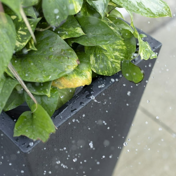 【コラソン】NEIGHBORHOOD TAPERED-S P-PLANT コラソン】NEIGHBORHOOD TAPERED-S P-PLANT TAPERED SILHOUETTE