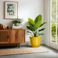 thumbnail image 2 of 12 inch Ceramic Planter, Extra Large Round Flower Pots with Drainage, Elegant Pot for Indoor Trees, for Glamorous Home Decor, Light Yellow, 2 of 7