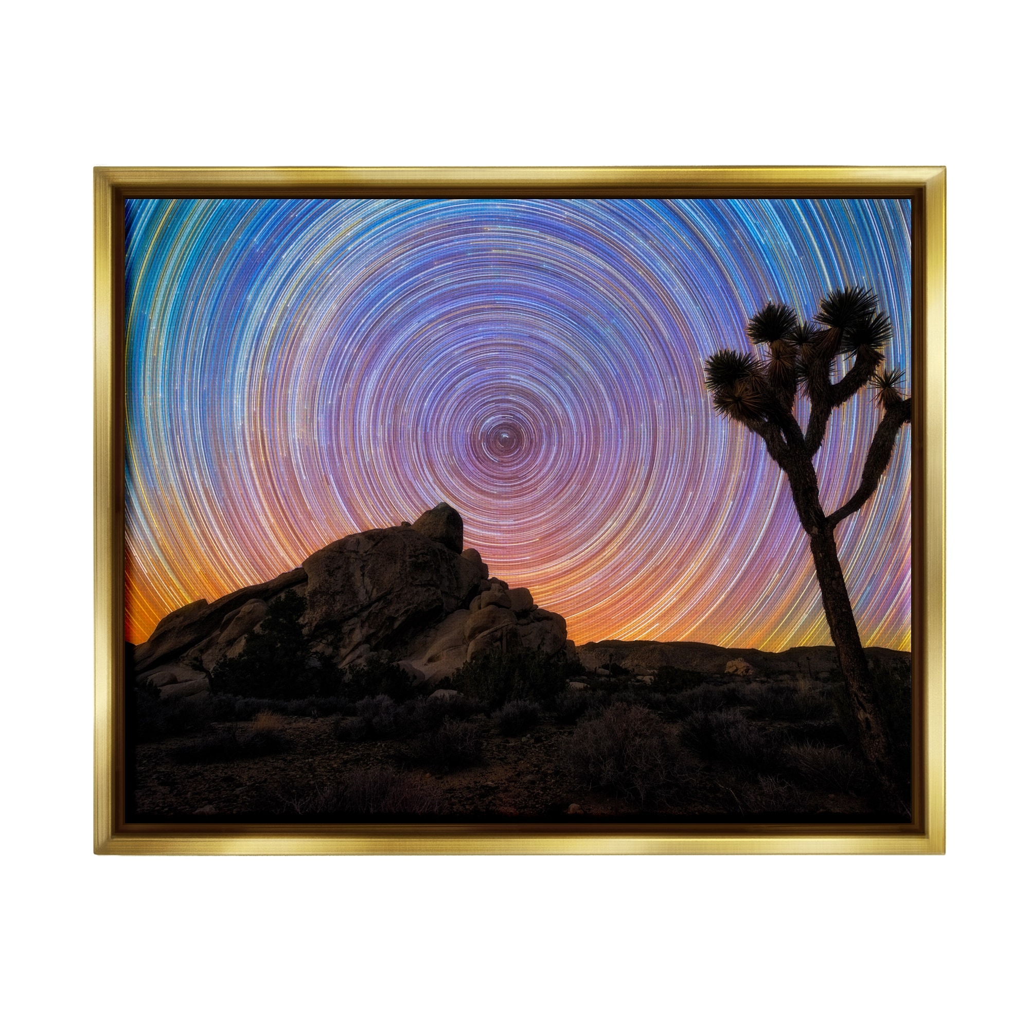 Stupell Industries Kaleidoscopic Swirl Pattern Sky Desert Tree Silhouette Graphic Art Metallic Gold Floating Framed Canvas Print Wall Art, Design by Lincoln Harrison