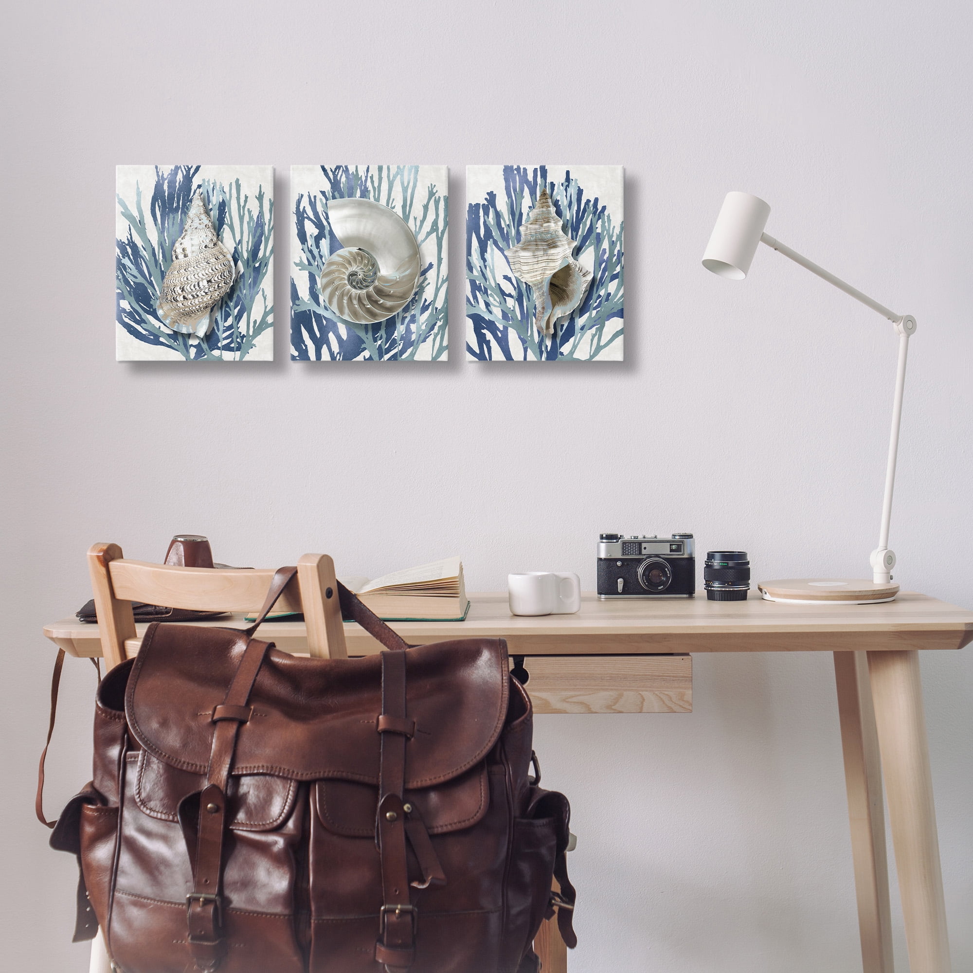 Stupell Industries Trio of Shells & Coral Nature Painting Gallery Wrapped Canvas Art Print Wall Art, 11 x 14, Set of 3