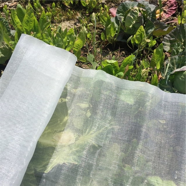 1 Red Anti-Insectos para Verduras de Huerta: 3 x 5 m Malla Fina Protección para Puerros Frutales Jardinería Planta Velo Blanco