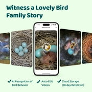 Birdfy Smart Bird Houses With 1080P HD Bird Feeder Camera, Perfect Viewing Bird Nesting and Hatching, Solar Powered, Cyan