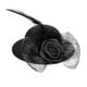 thumbnail image 1 of Billuyoard Divertidos sombreros de pollo, Mini gorro de plumas con dobladillo, decoración para banquetes, puesta en escena, accesorio para Aseo de mascotas Negro, 1 of 6