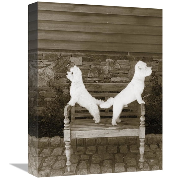Global Gallery's 'We are Ready' By Jim Dratfield Stretched Canvas Wall Art