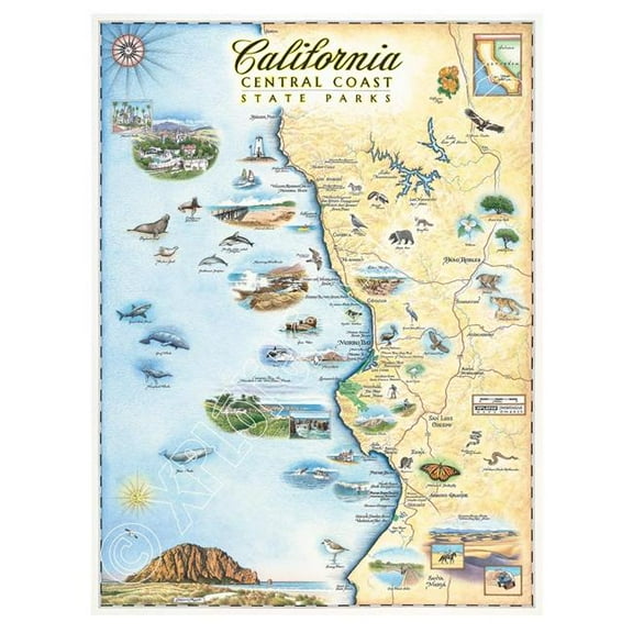 Xplorer Maps MAP_CCSP California Central Coast State Parks Hand-Drawn Map