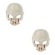 thumbnail image 3 of Advancent Escudo facial de Halloween Media espuma Guardia facial Fiesta Etapa Cosplay Traje Danza Prop, Blanco Rojo Type2 NO2 Advancent CBP176740, 3 of 6