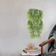 thumbnail image 3 of Hiedra Artificial YONGSHENG 2 uds planta colgante, 3 of 3